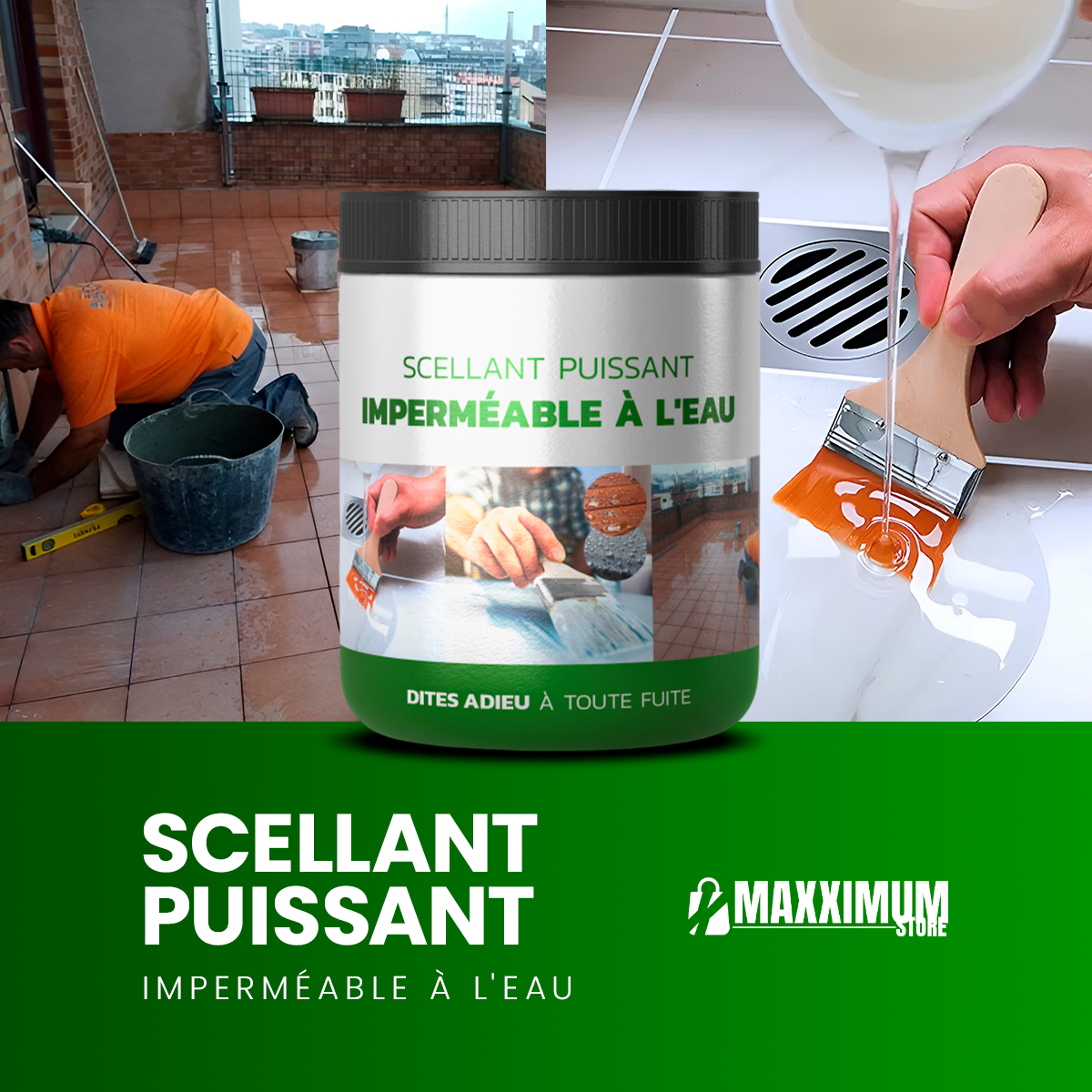 MAXXIMUM | Powerful Waterproof Sealant