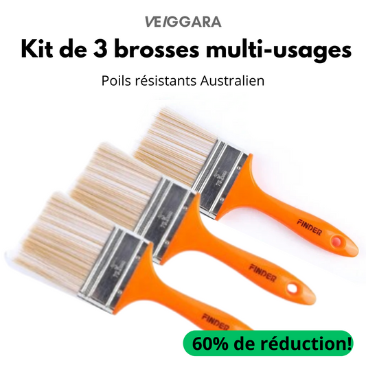 Premium 3-piece brush set